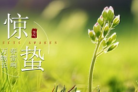惊蛰 | 雷动惊蛰，春满人间