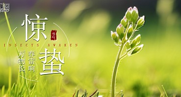 惊蛰 | 雷动惊蛰，春满人间